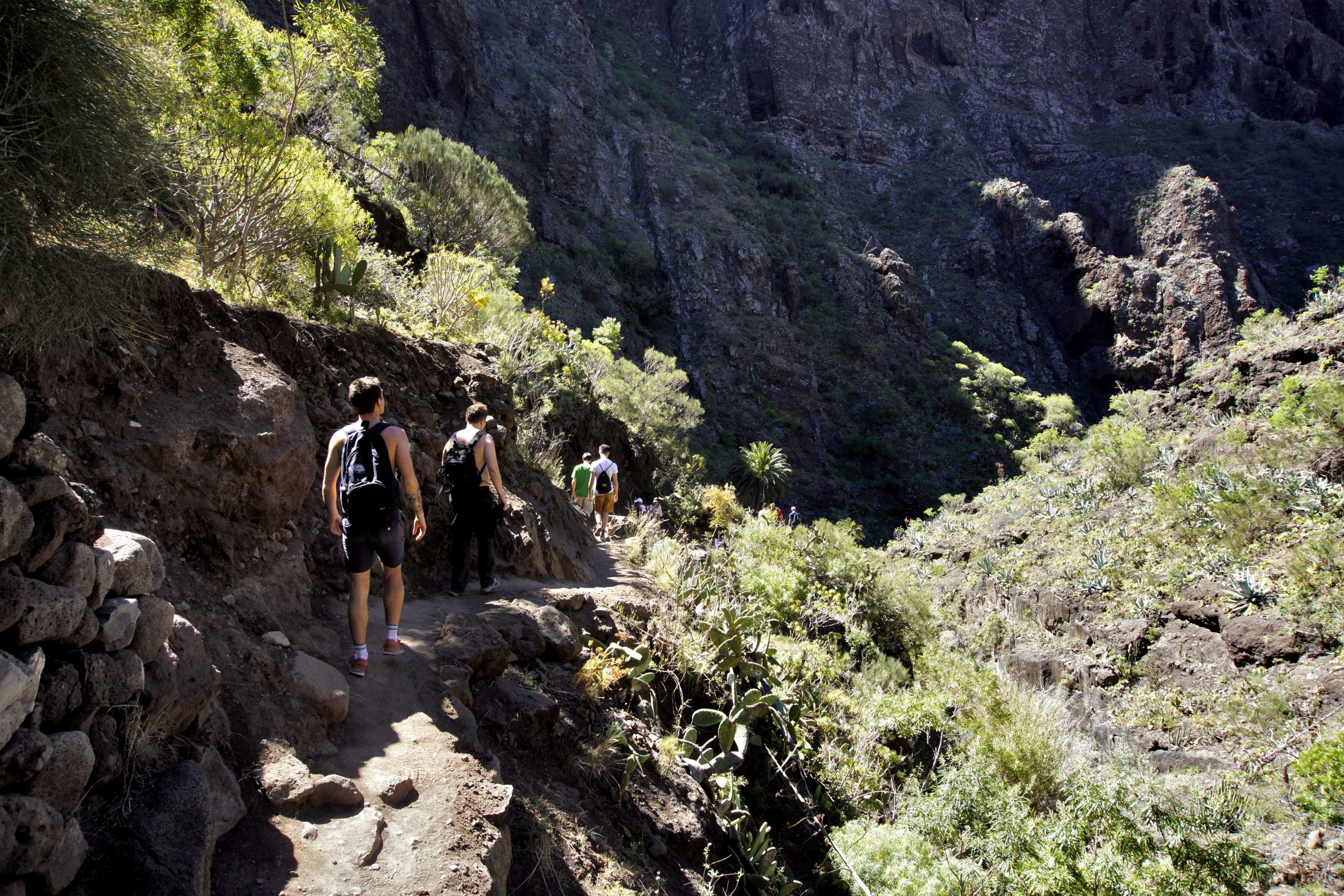 Reconnecting with the nature helps teams also bond with each other. Forest hikes will contribute to teams' inspiration and creativity. Photo: team retreat of Maguss on Canary Islands 2017